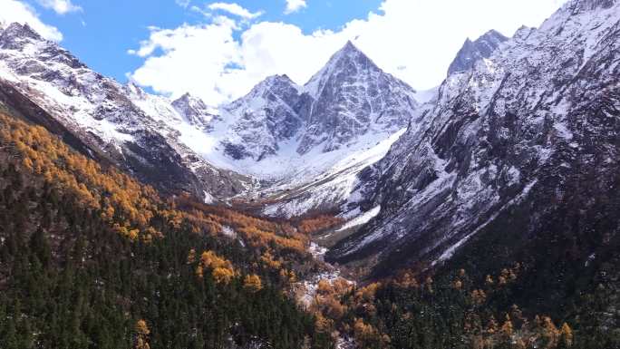 雪山秋景彩林