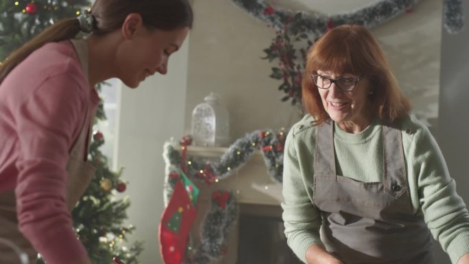 一名妇女在家里准备面团做圣诞姜饼的肖像。快乐的家庭主妇和母亲制作糕点与家人和朋友分享的节日
