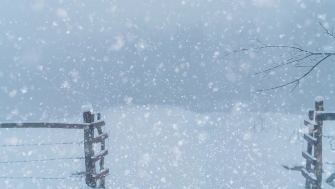 4k视频新年快乐圣诞雪背景