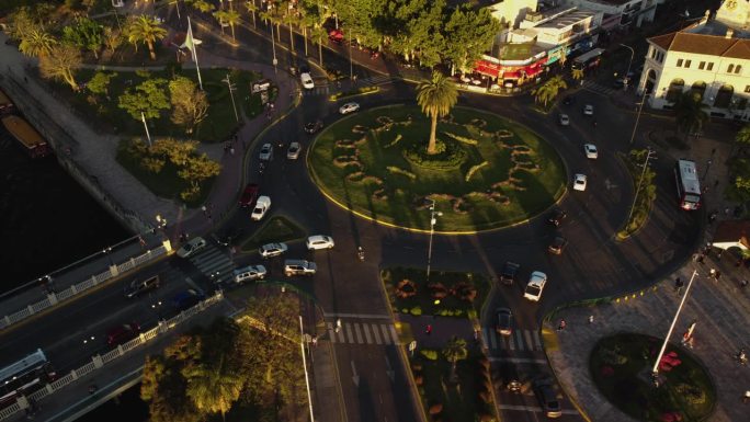 Сircular交通在夕阳下，棕榈树在广场中央，长长的影子