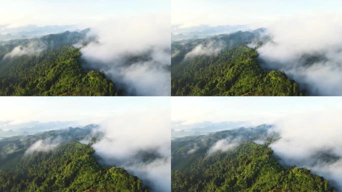 空中无人机拍摄的早晨雨林，有很多雾和薄雾沿着山脊流动