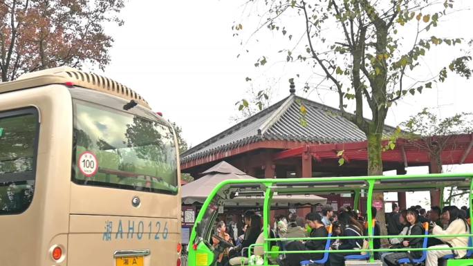 游客乘坐观光车，排队上车来来往往的观光车