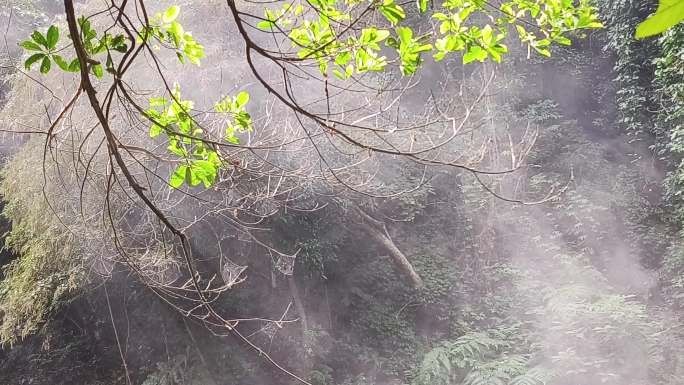 清晨阳光湖面雾气人间仙境缭绕意境腾雾上升