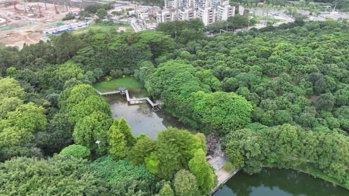 广东省东莞市黄旗山城市公园航拍