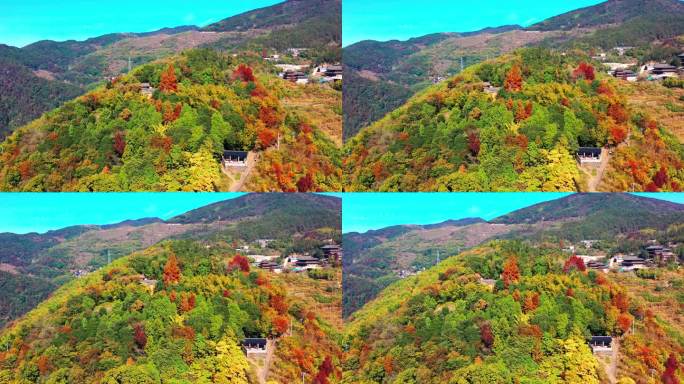 天台山国清寺山顶，金地岭，霞客古道