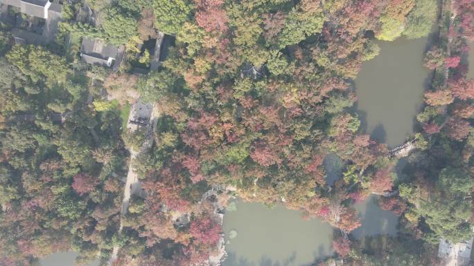 【高清素材】苏州天平山秋景