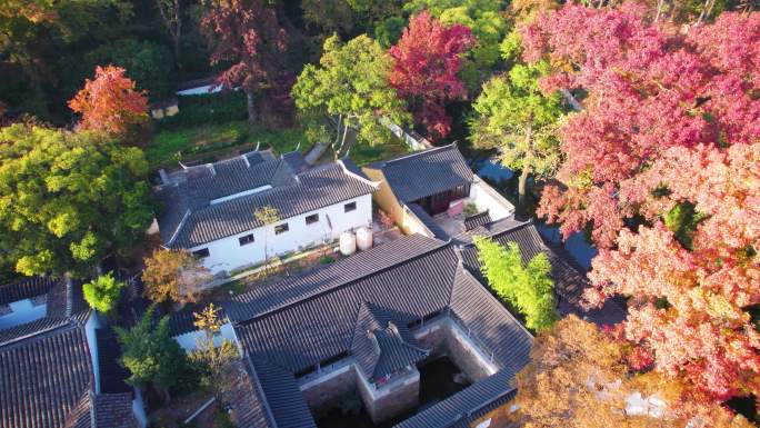 航拍苏州天平山秋天枫叶正红美丽风景合集