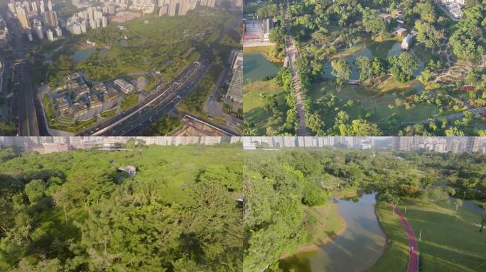 深圳 香蜜公园 生态 绿色 城市