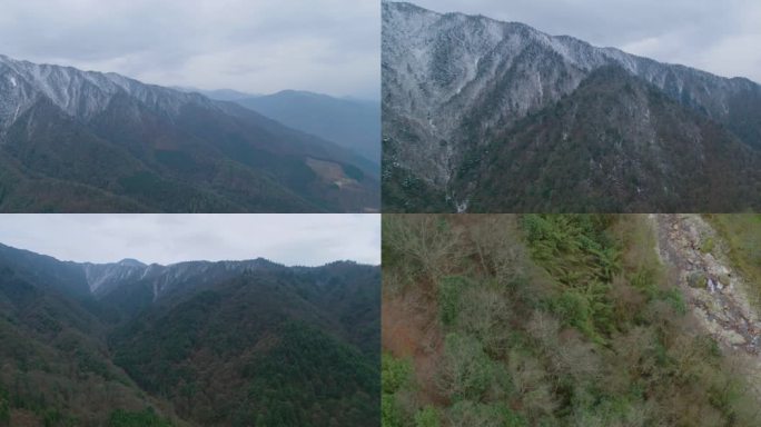 四川雅安栗子坪雪山熊猫基地航拍