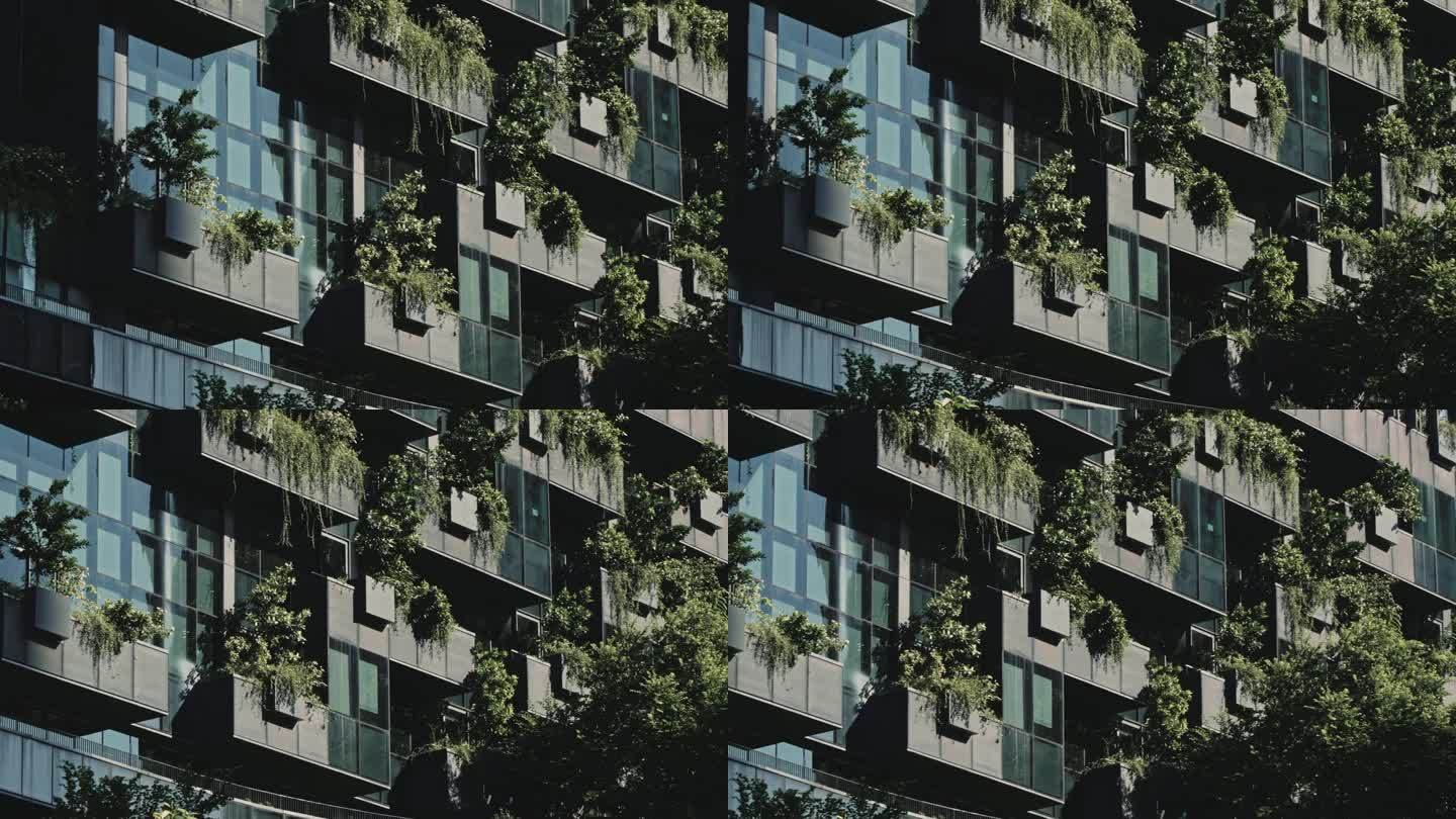 现代建筑与垂直绿化