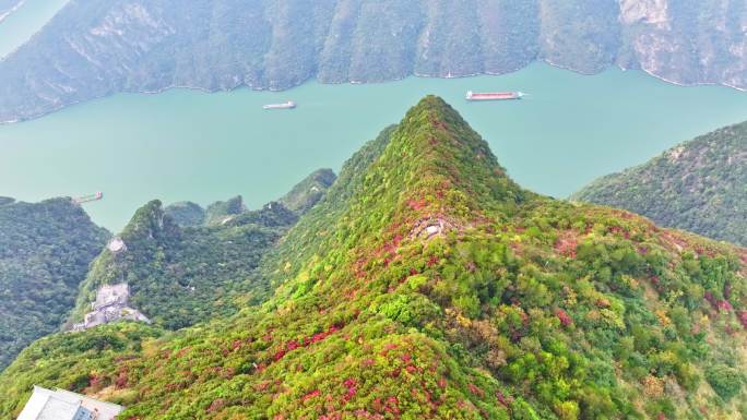 大气三峡红叶航拍