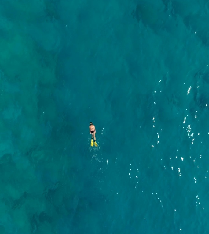 在清澈的绿松石海中浮潜