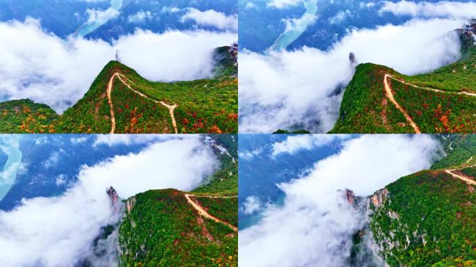 大气三峡红叶航拍