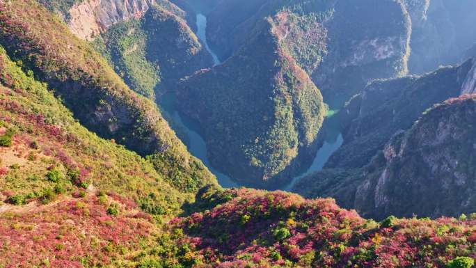 大气三峡红叶航拍