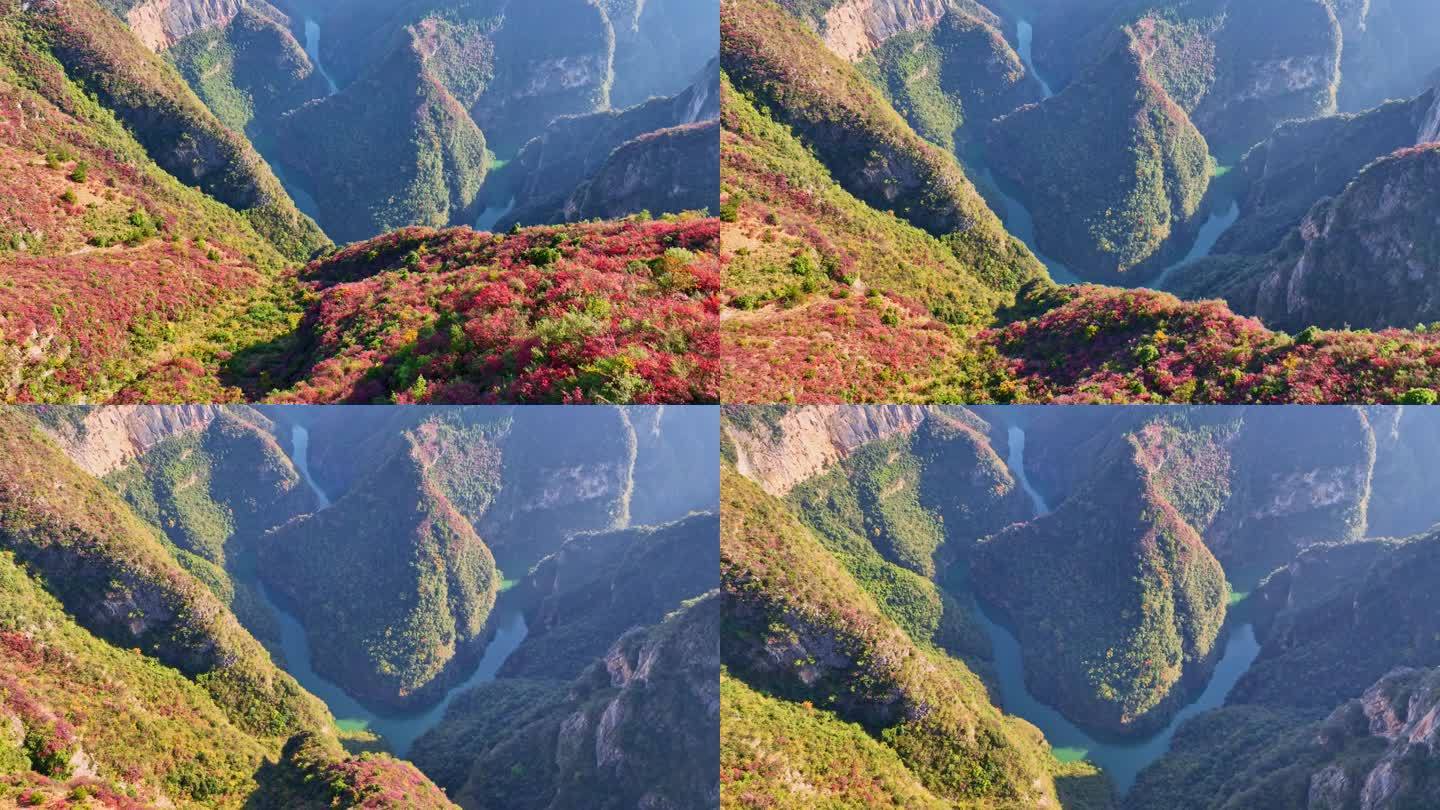 大气三峡红叶航拍