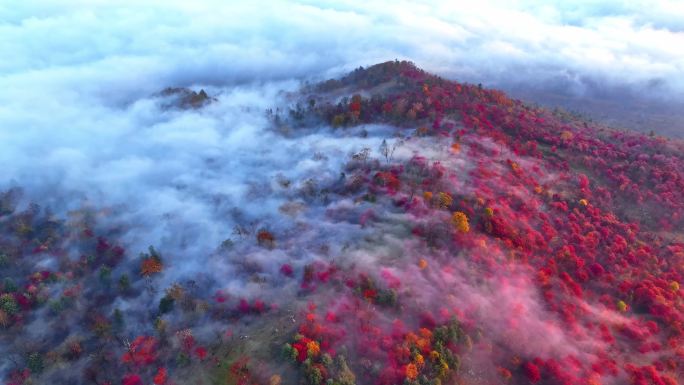 秋天五花山吉林东北秋景日出云海云雾逆光