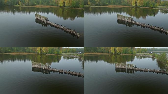 在瑞典，腐烂的柱子映在平静的湖面上。航空弧线拍摄