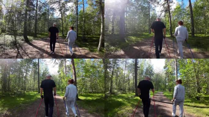 活跃的老年人在森林里拄着杆子散步
