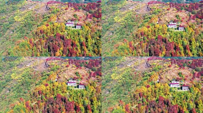 天台山国清寺山顶，金地岭，霞客古道