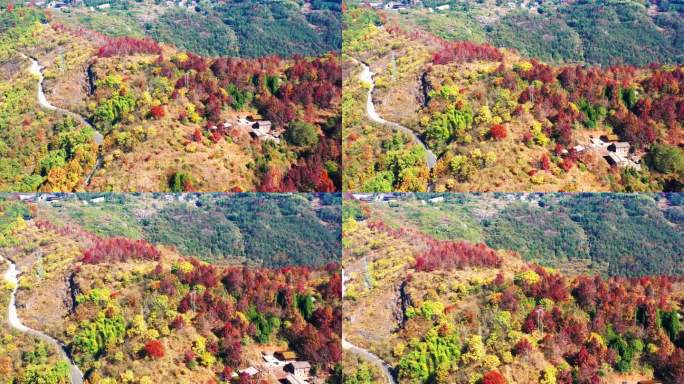 天台山国清寺山顶，金地岭，霞客古道