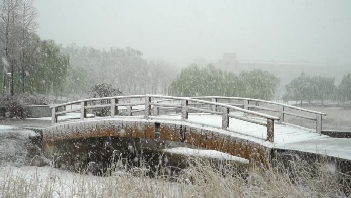 大雪中的拱桥