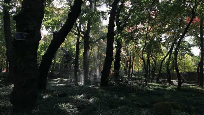 【合集】苏州天平山秋天景色