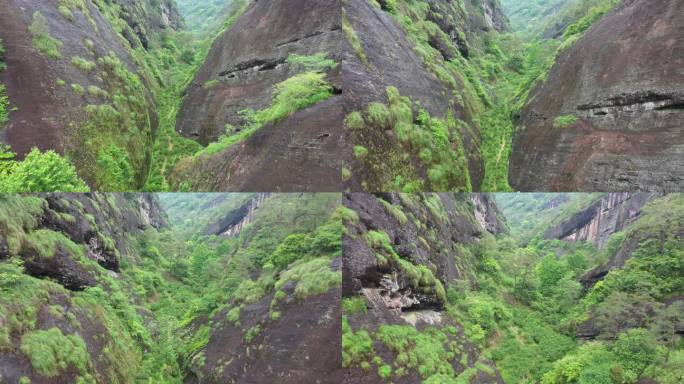 航拍武夷山茶山