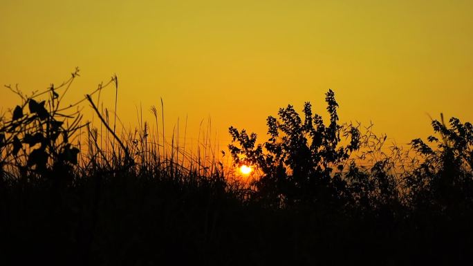 落日夕阳