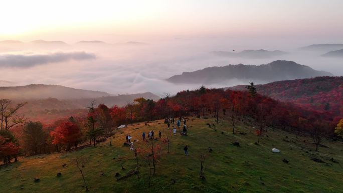 4K看日出的人日出云海山顶浪漫秋色