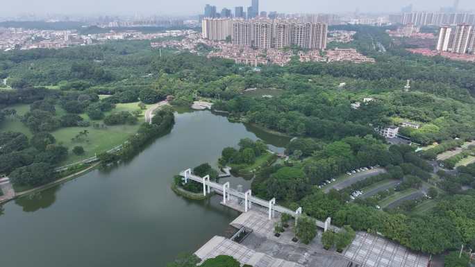 广东省东莞市南城街道东莞植物园航拍