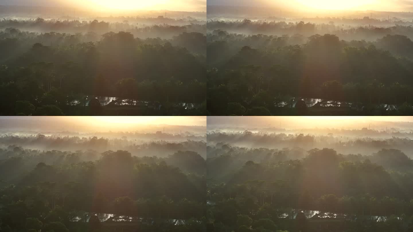空中无人机拍摄的日出景象，位于印度尼西亚巴厘岛丛林中部的山地梯田。