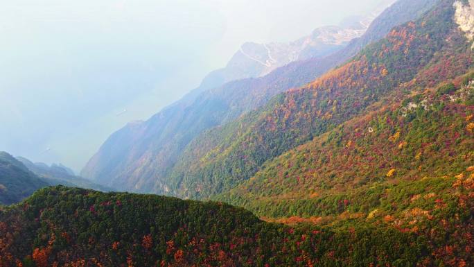 大气三峡红叶航拍