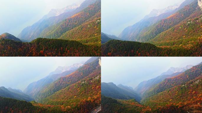 大气三峡红叶航拍