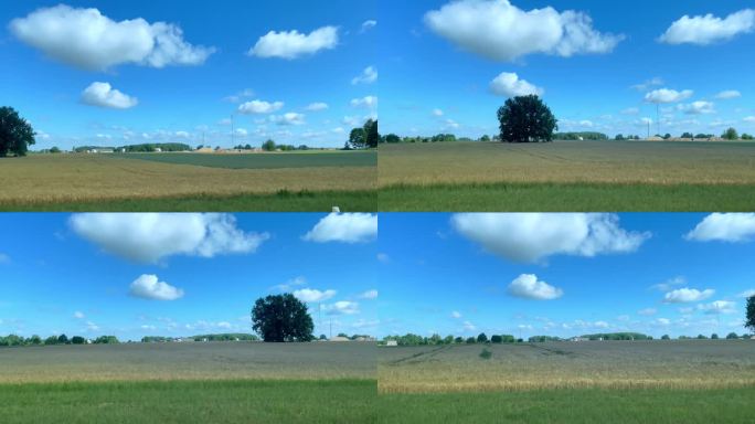 透过车窗看到麦田和蓝天白云。农业景观。大自然青山绿林。从火车出发。在道路上行驶的汽车更换窗户。
