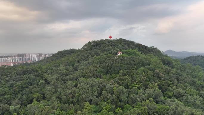 广东省东莞市黄旗山城市公园航拍