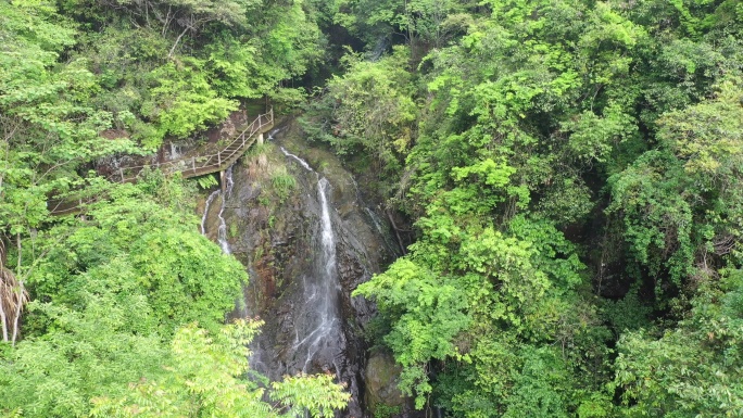 航拍武夷山茶山