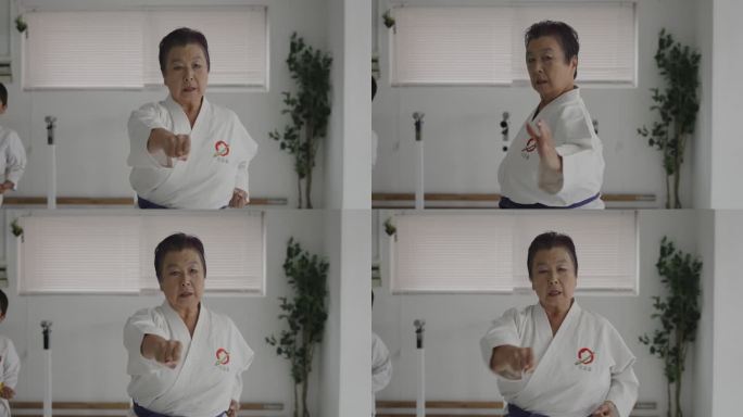 不同的日本女性专注于她们的空手道踢