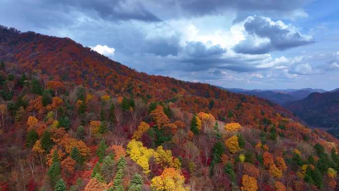 4K秋天色彩五花山光雾山秋景风光自然新疆