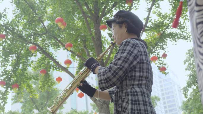 公园老年人乐器表演