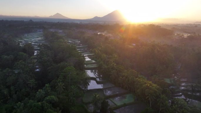 空中无人机拍摄的印尼巴厘岛丛林中，以阿贡火山为背景的高山梯田的日出景象。