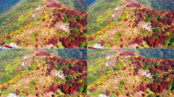 天台山国清寺山顶，金地岭，霞客古道