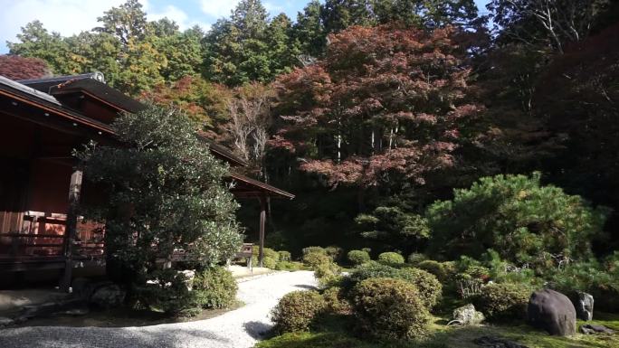 秋季的日本园林固定镜头