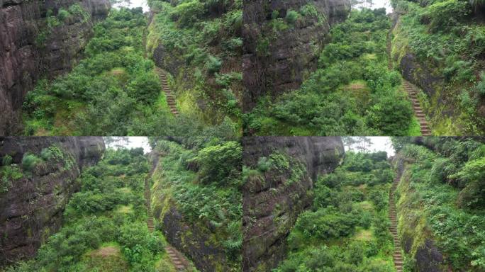 航拍武夷山茶山