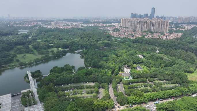 广东省东莞市南城街道东莞植物园航拍