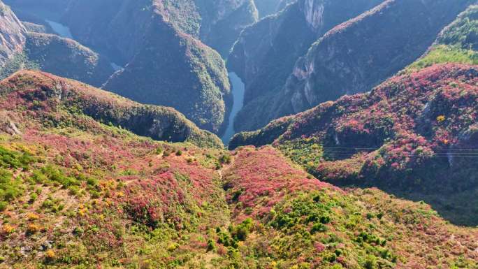 大气三峡红叶航拍