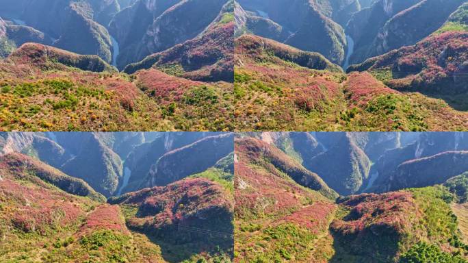 大气三峡红叶航拍