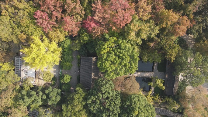 【高清素材】苏州天平山秋景