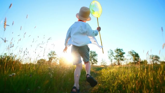 后视图是一个男孩的剪影，他跑过麦田，手里拿着蝴蝶和防虫网。晴朗的天空，放松，享受和感受空气和自由。对
