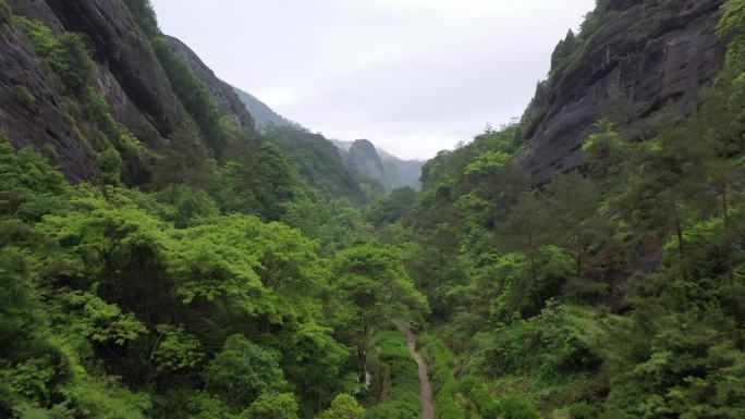 航拍武夷山茶山