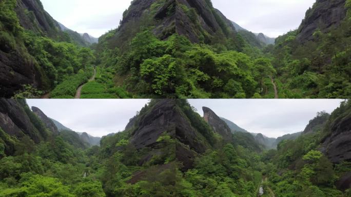 航拍武夷山茶山